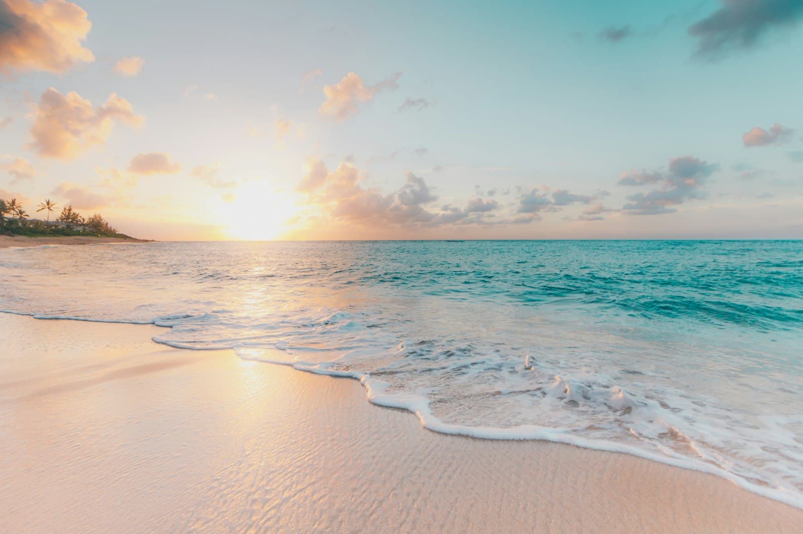White sand and palms on Diani Beach